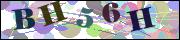 capcha