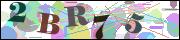 capcha