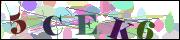 capcha