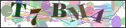 capcha