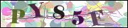 capcha