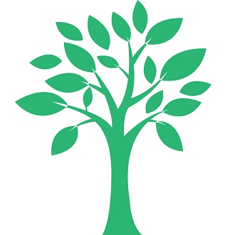 Green. Мебель для Кухни