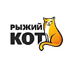 Рыжий кот