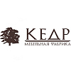 Кедр