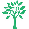 Green. Мебель для Кухни